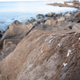 Plasticrust is a form of plastic pollution not yet seen before on Earth’s coastlines